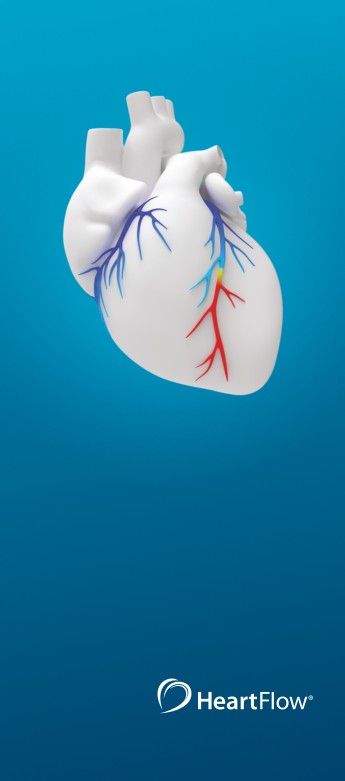 Heart with two major outer vessels emphasized, HeartFlow logo below